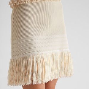 Express Fringe Mini Skirt